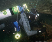 diver...