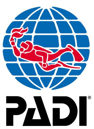 Padi